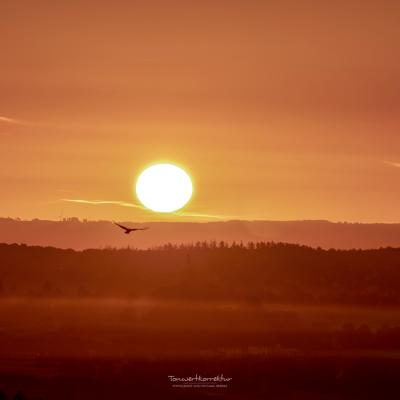 Aussichtsplattform Heid 